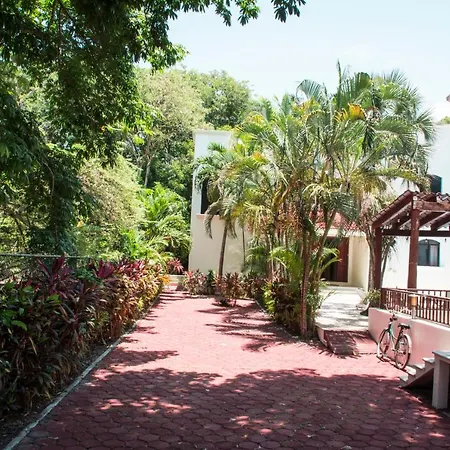 Green Oasis Home Boutique
