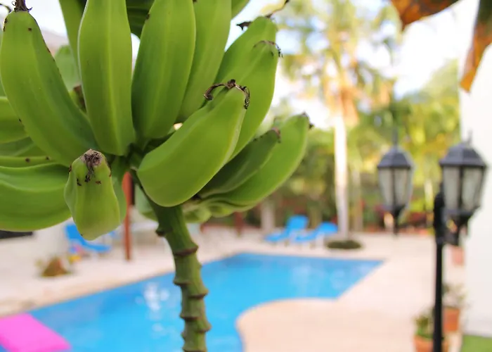 Frühstückspension Oasis Boutique Playa del Carmen